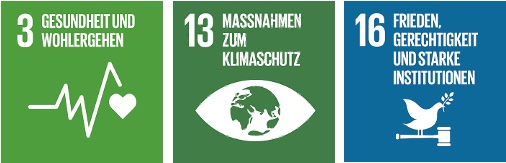SDG 3 13 16