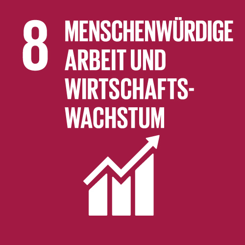 SDG 8